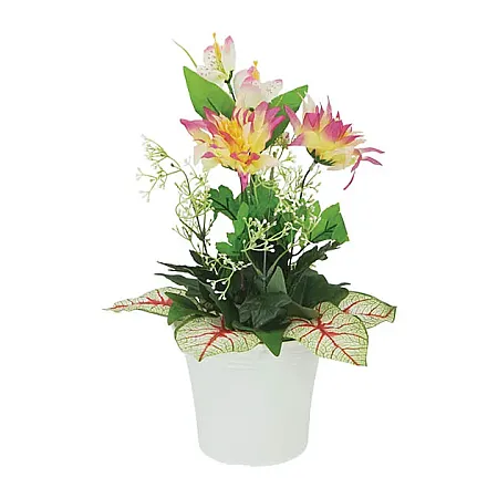 images/uploads/12206/thumb_1-270-C 2022.webp